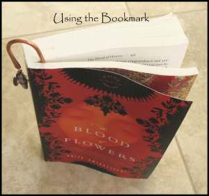using-the-bookmark